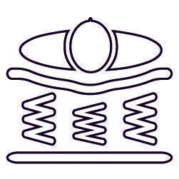 Anatomic-100.jpg
